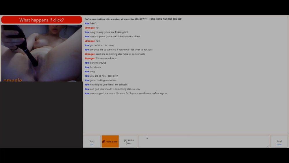 Preview image for omegle website onlymega.vip