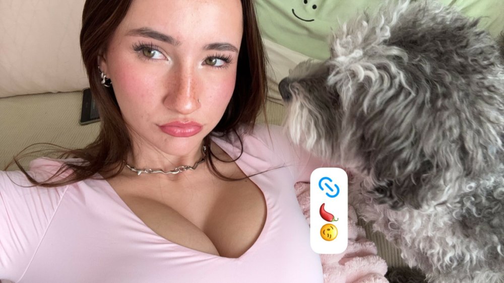 Preview image for nnevelpappermann fap4lm.com
