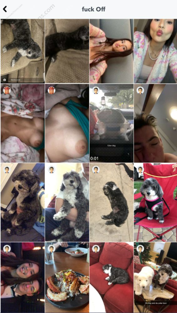 Preview image for onlynsfwpackcom_df373