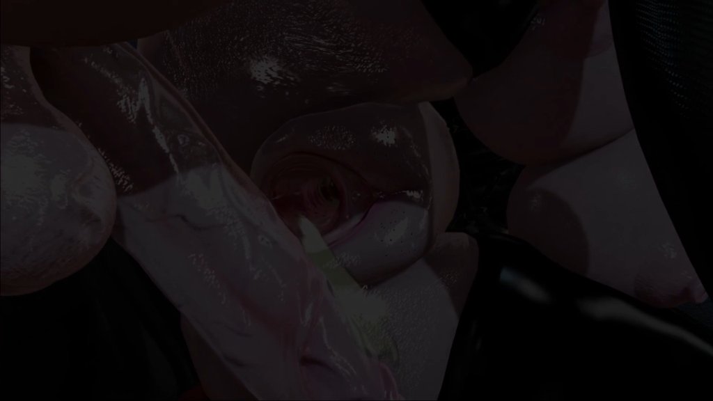 Preview image for free archived footage pmv