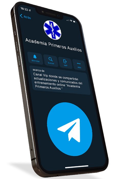 Preview image for academia primeros auxilios