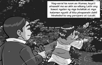 Preview image for noli