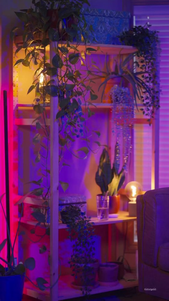 Preview image for lillienue