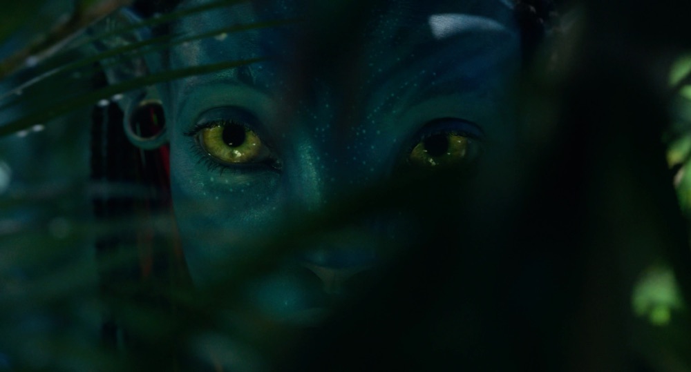 Preview image for avatar the way of water - all scene packs (uhd & hdr) - recomlogoless