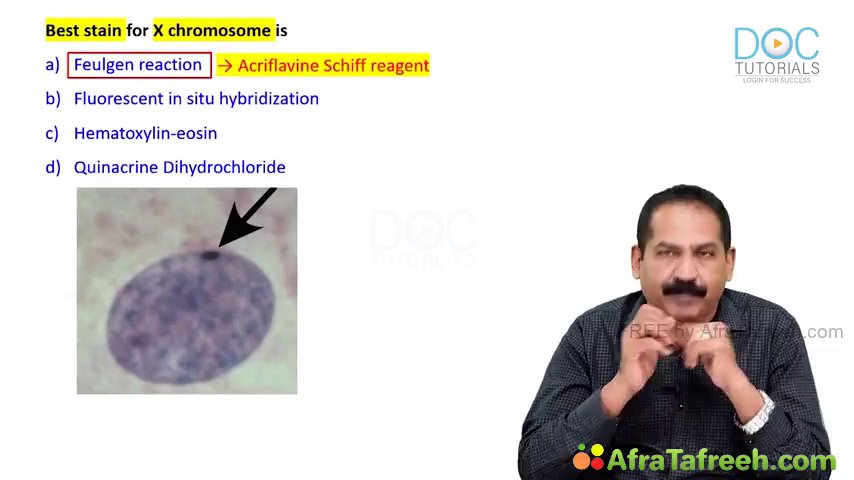 Preview image for doc tuts lectures