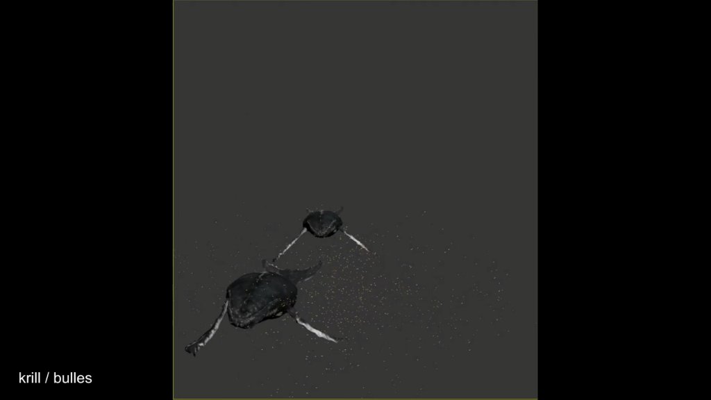 Preview image for projets