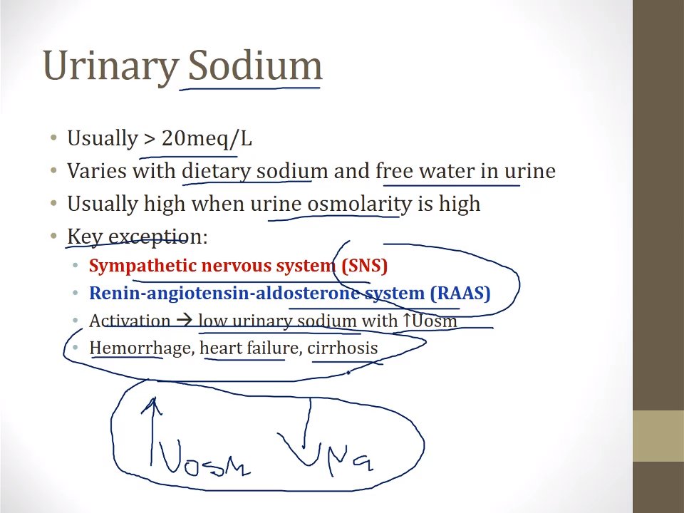 Preview image for usmle step 1