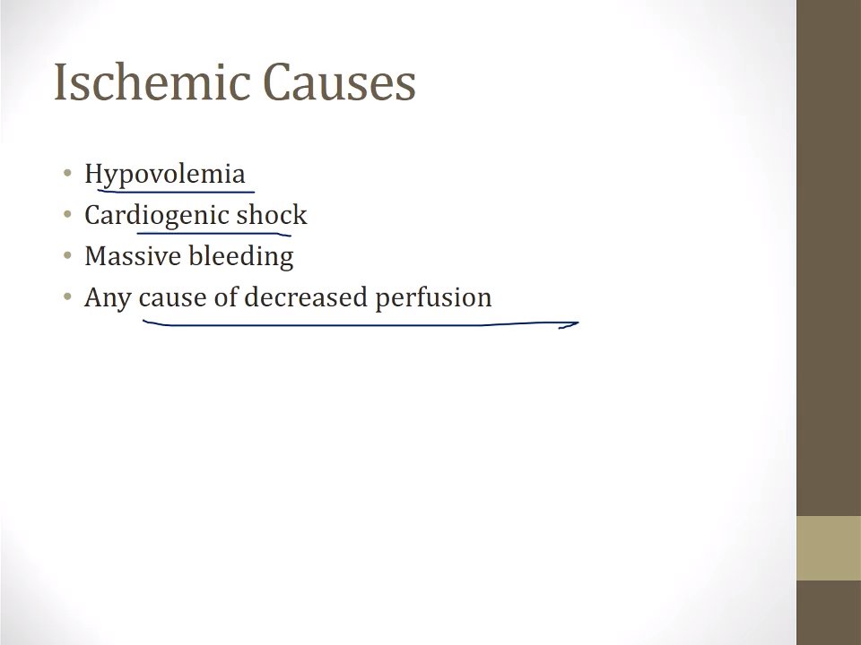 Preview image for usmle step 1