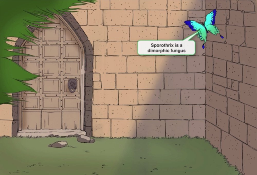 Preview image for usmle step 1