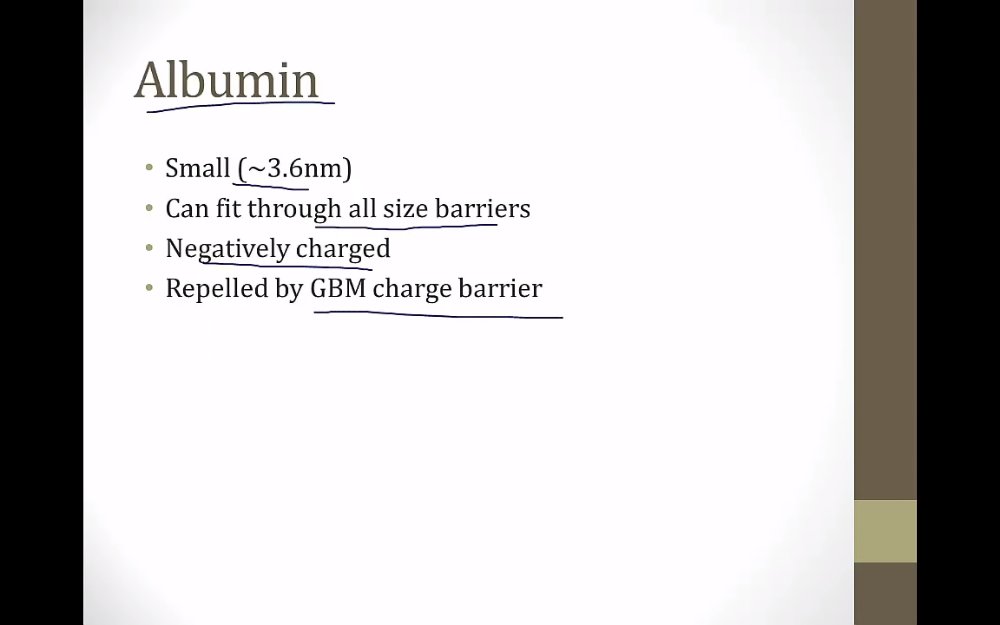 Preview image for usmle step 1