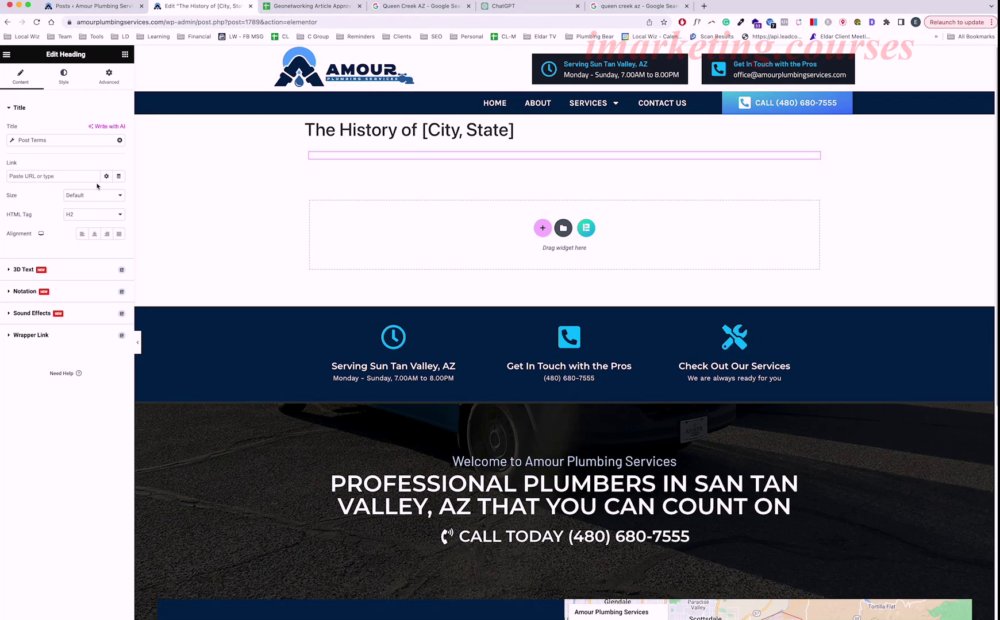 Preview image for eldar cohen - ld lw seo course