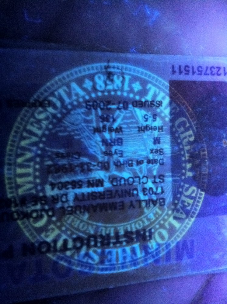 Preview image for 2019 fraud bible