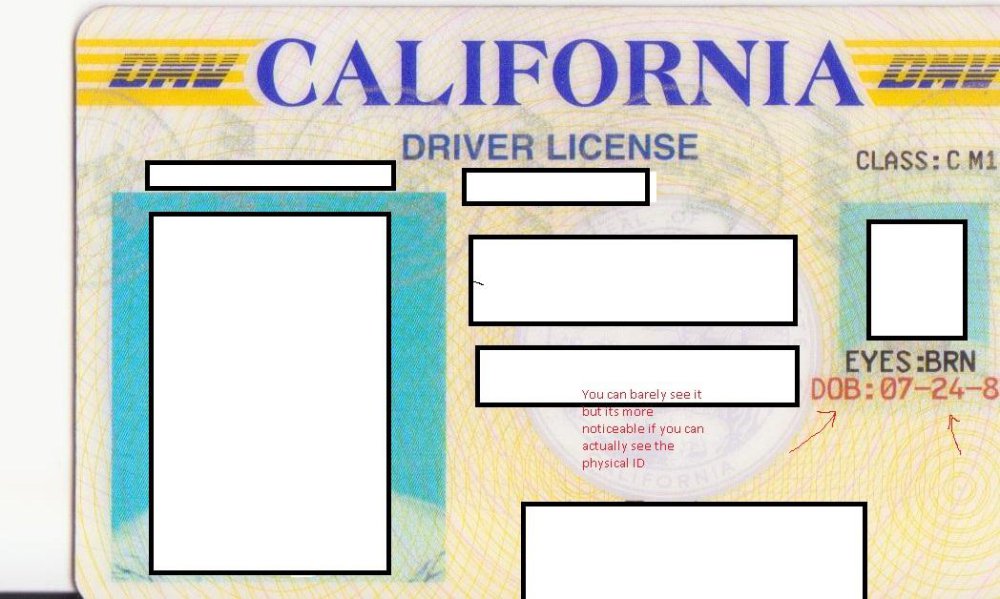 Preview image for 2019 fraud bible
