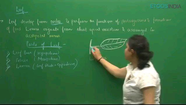 Preview image for sb mam biology pt. 1