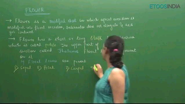 Preview image for sb mam biology pt. 1
