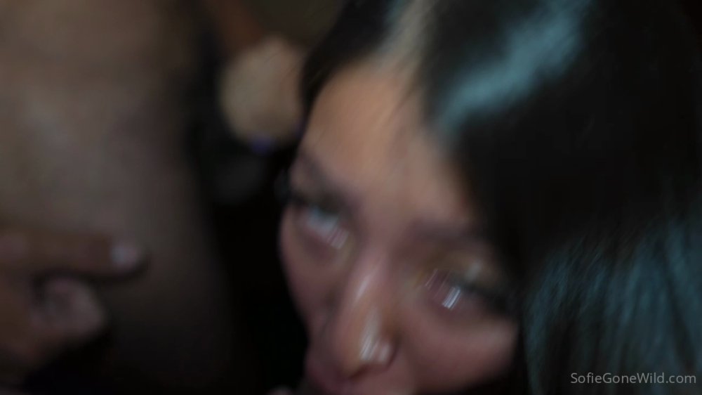 Preview image for sofiegonewild - of4lm