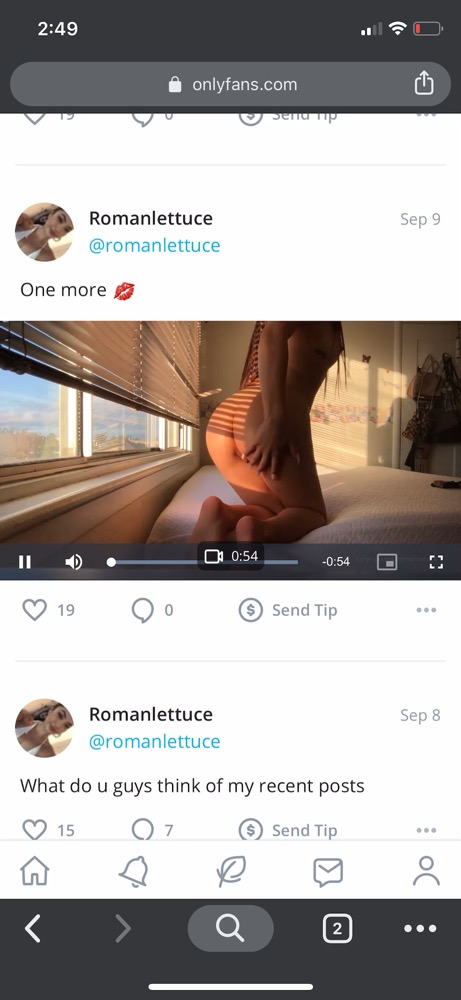 Preview image for romanlettuce