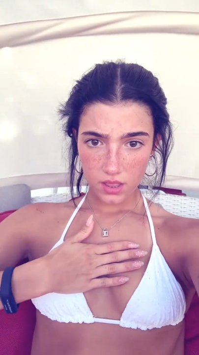 Preview image for charli vids