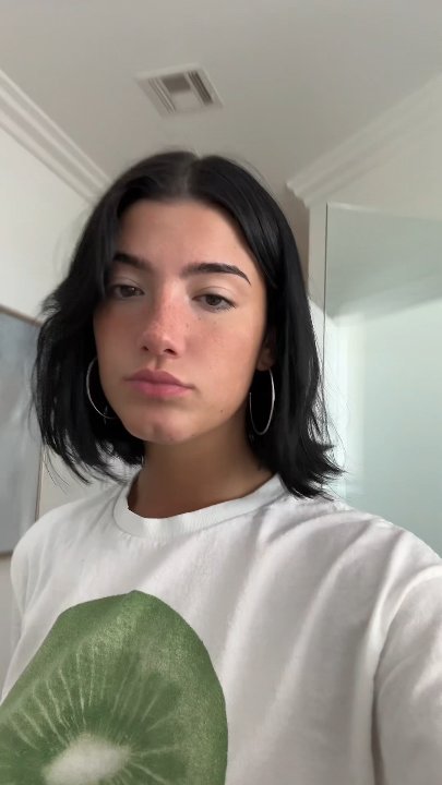 Preview image for charli vids