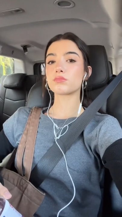 Preview image for charli vids