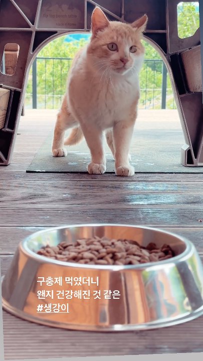 Preview image for dongwan archive 2023