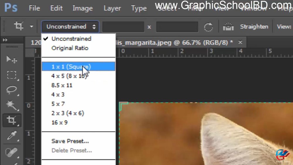 Preview image for graphics school graphic design
