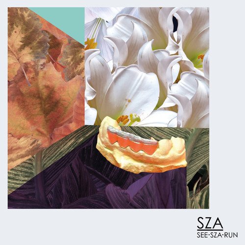 Preview image for sza [outdated]