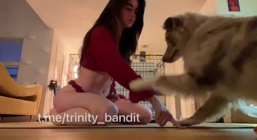 Preview image for 24 - trinity bandit - elitepacks.net