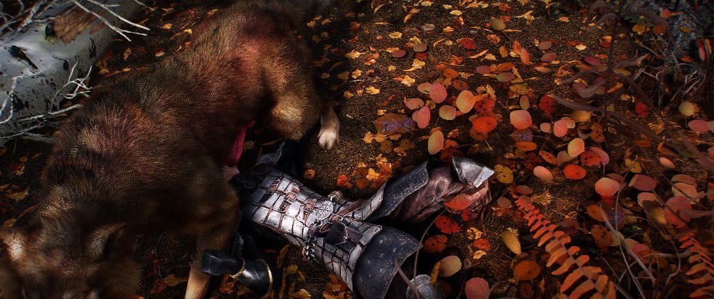 Preview image for dog