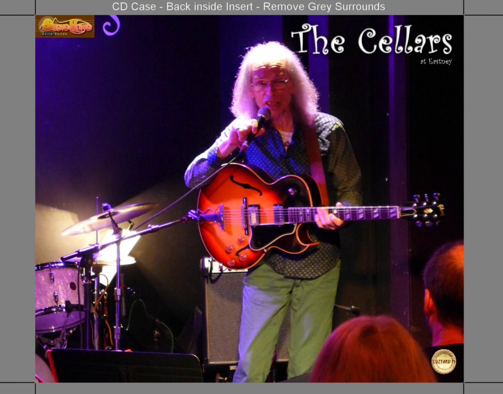 Preview image for steve howe trio - the cellars, portsmouth, uk 2013-09-13 (aud)(flac)
