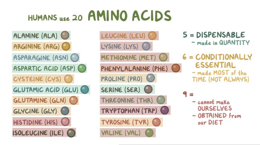 Preview image for osmosis