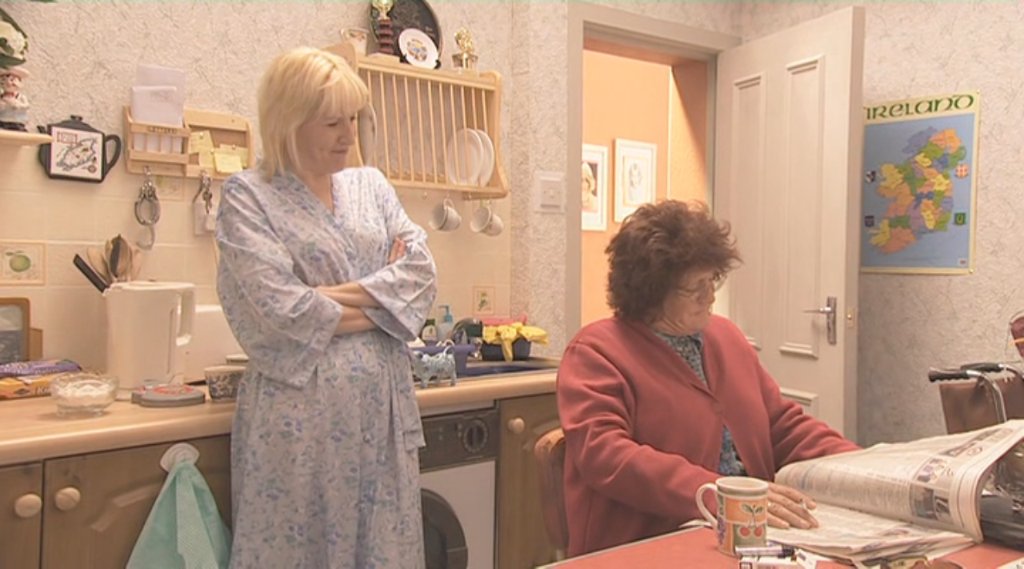 Preview image for mrs brown's boys (rte)