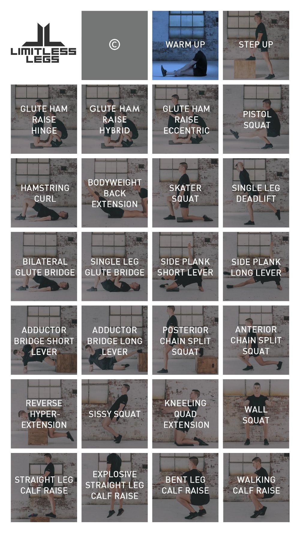 Preview image for calisthenics