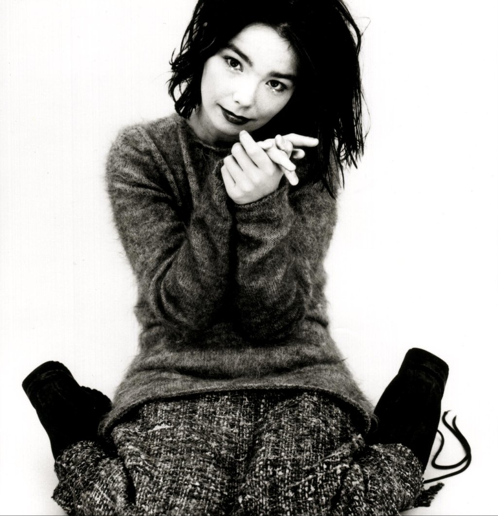 Preview image for bjork