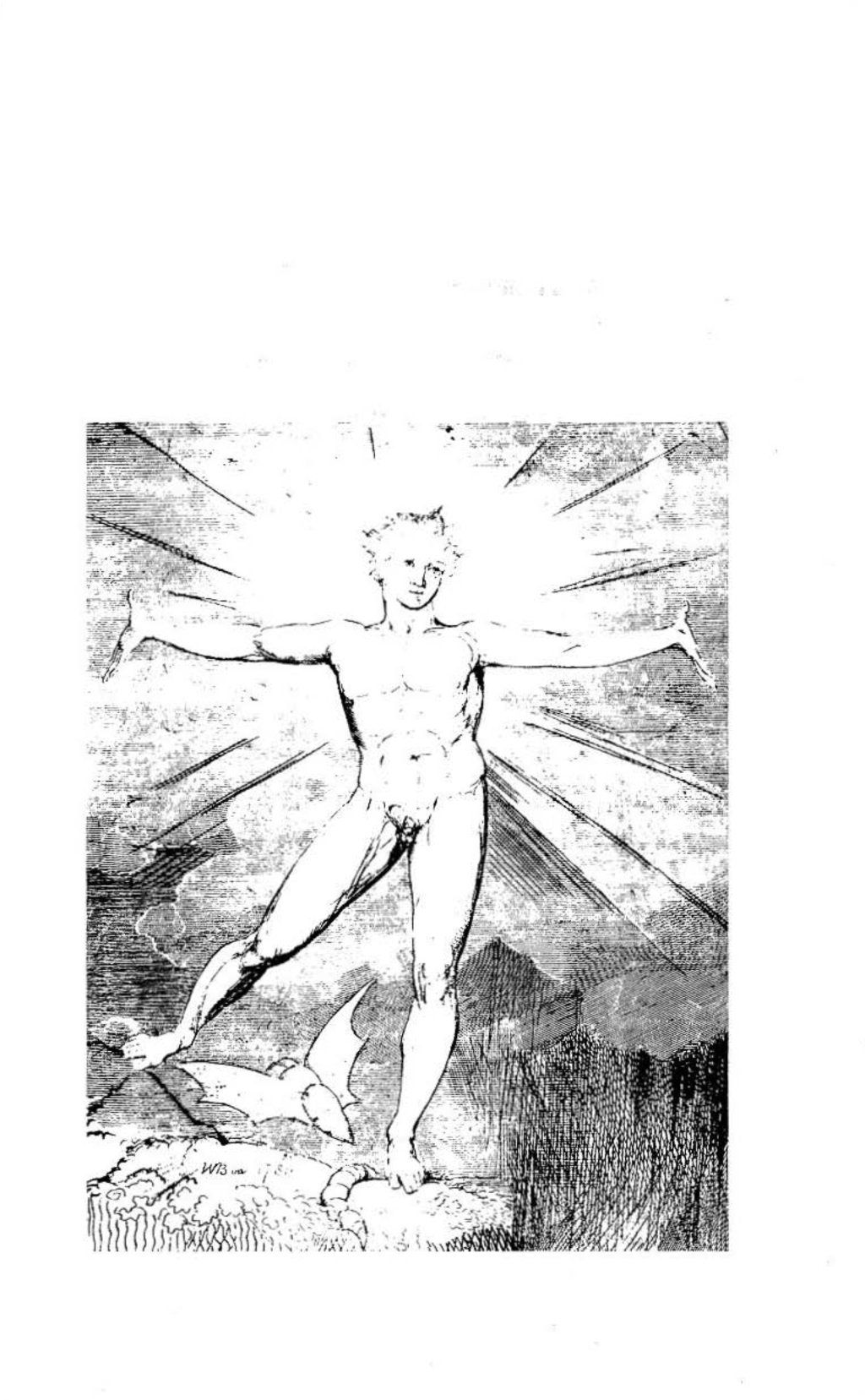 Preview image for ray peat archive