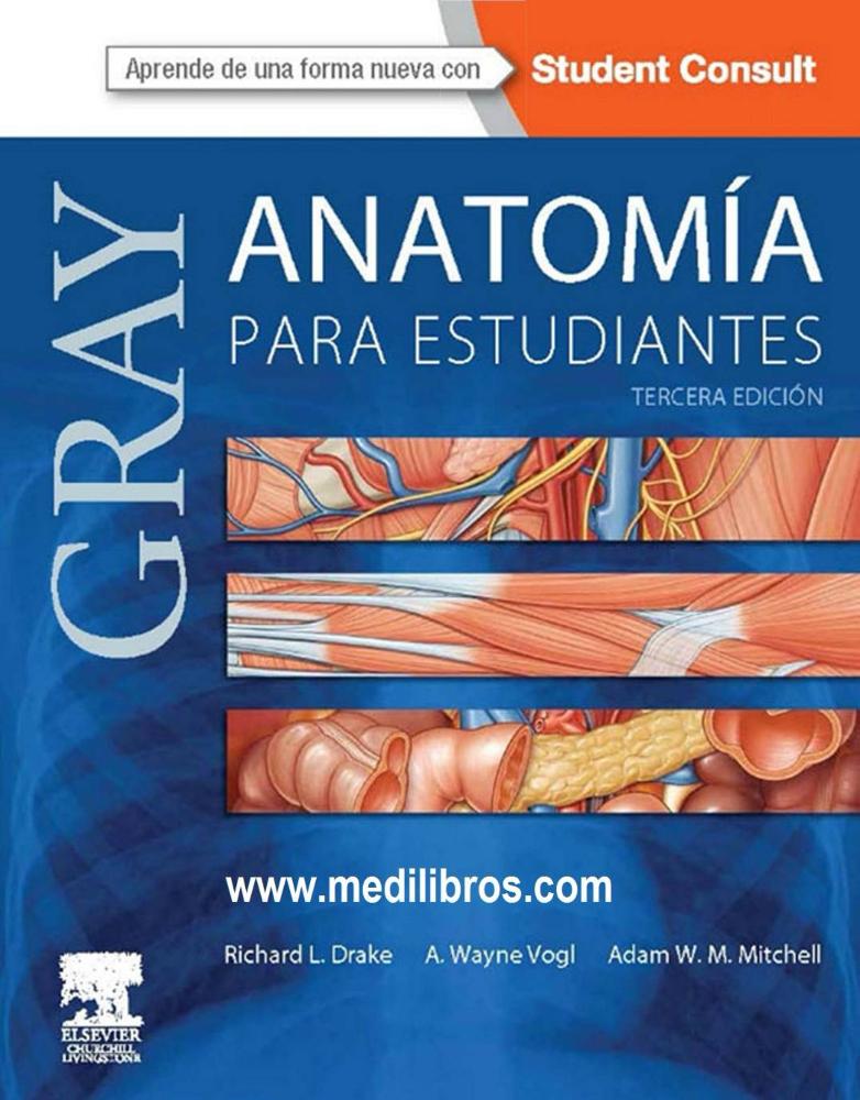 Preview image for antropoteca