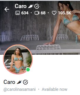 Preview image for carolina samani