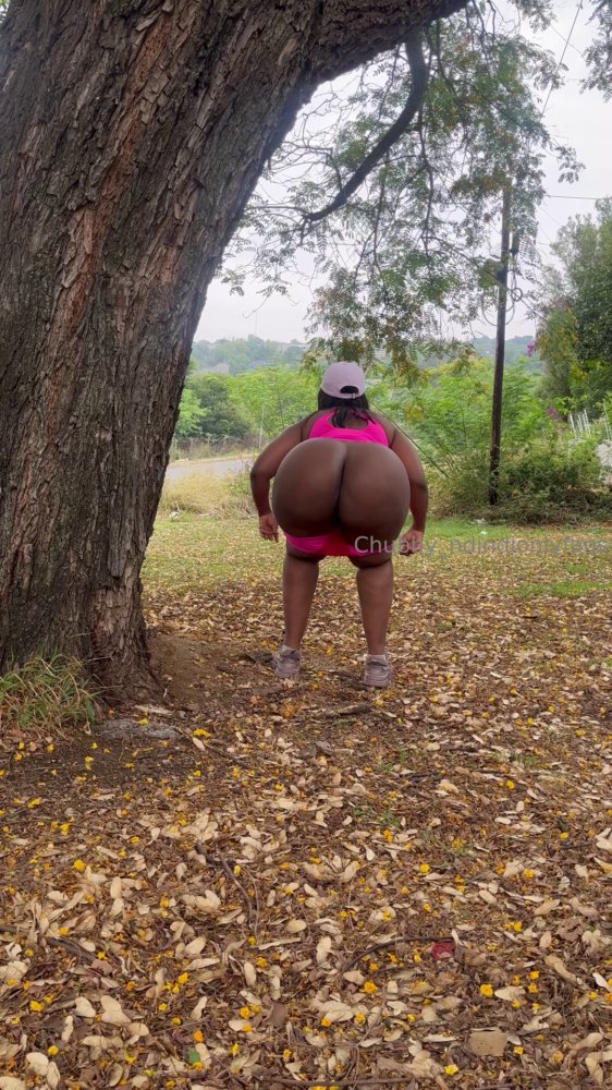 Preview image for chubbyndindi