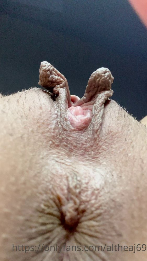 Preview image for altheaj69 