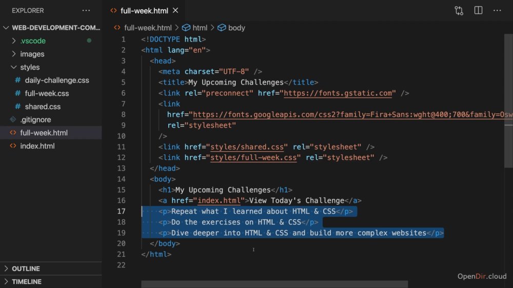 Preview image for 100 days of code
