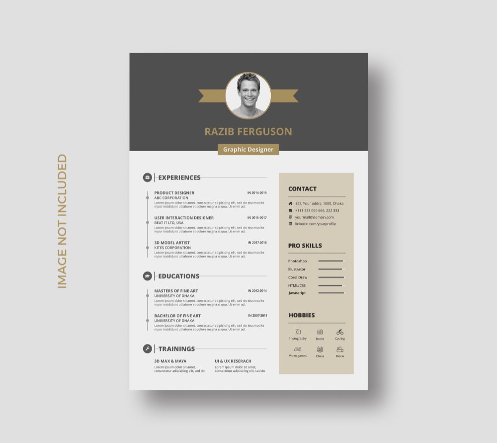 Preview image for 40 cv templat @te9niyatech