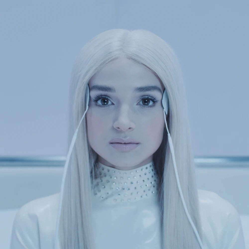 Preview image for poppy