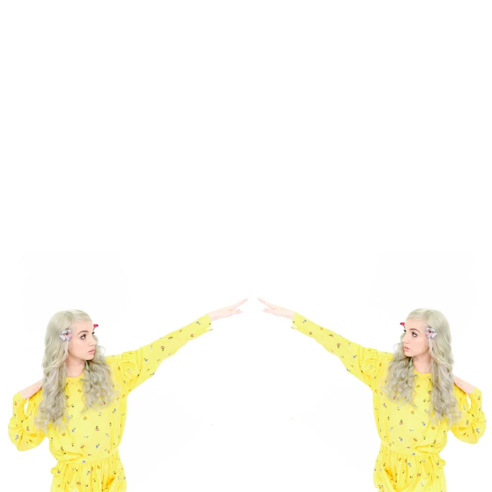 Preview image for poppy