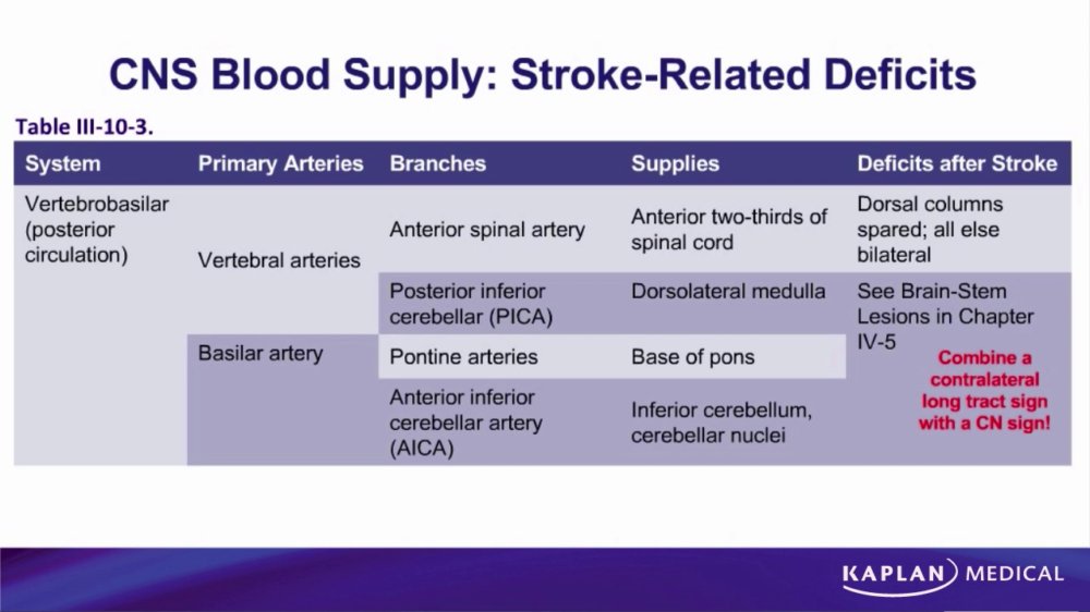 Preview image for kaplan lectures 1st & 2nd year mbbs