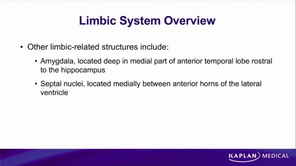 Preview image for kaplan lectures 1st & 2nd year mbbs