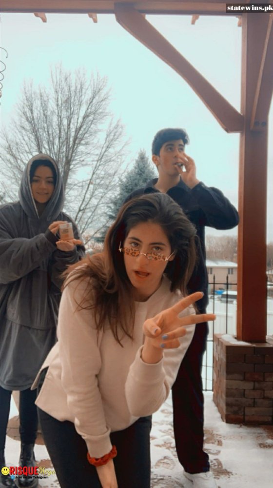 Preview image for b5in1tlp