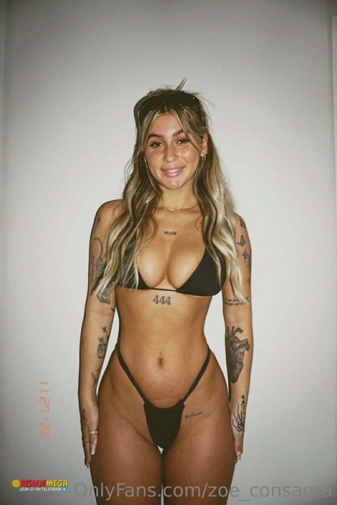 Preview image for zoe consagra (ha7e)