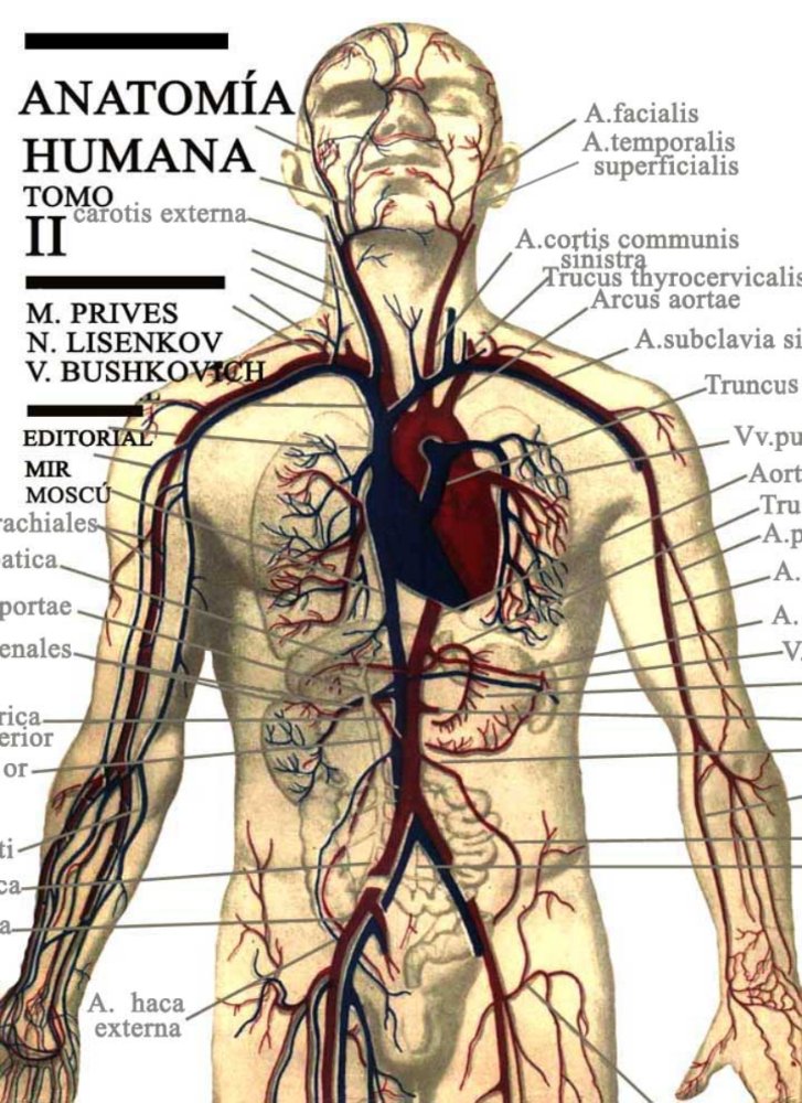 Preview image for a medicina