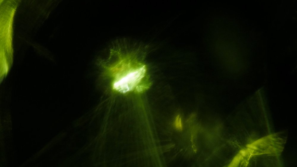 Preview image for zodiac editing pack 2