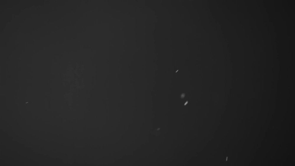 Preview image for zodiac editing pack 2